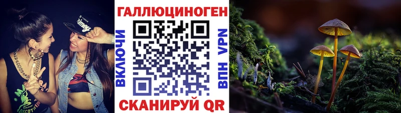 Псилоцибиновые грибы мухоморы  как найти закладки  Каспийск 