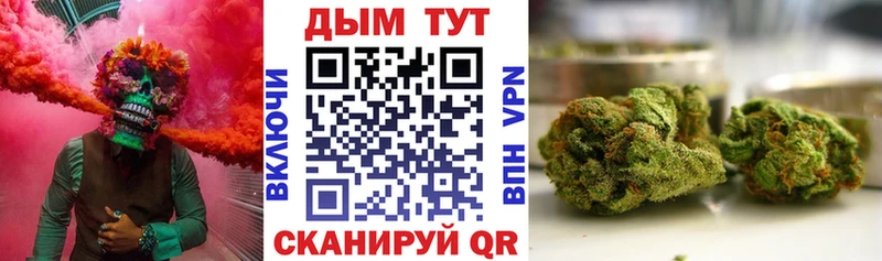 Конопля гибрид  Каспийск 